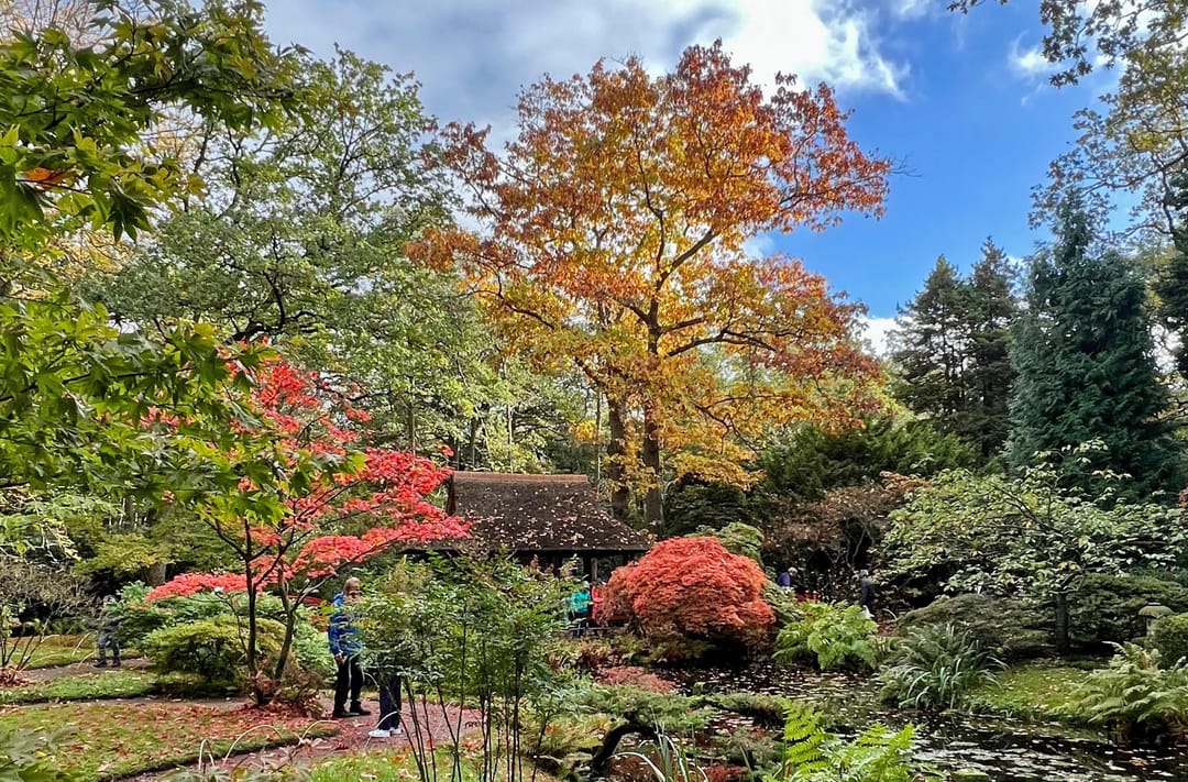 Photo 31 of Van Alkemadelaan 506-C