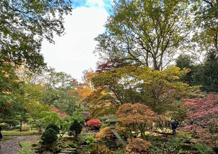 Foto 32 van Van Alkemadelaan 506-C