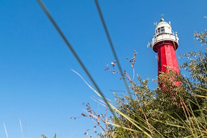 Foto 35 van Van Alkemadelaan 506-C