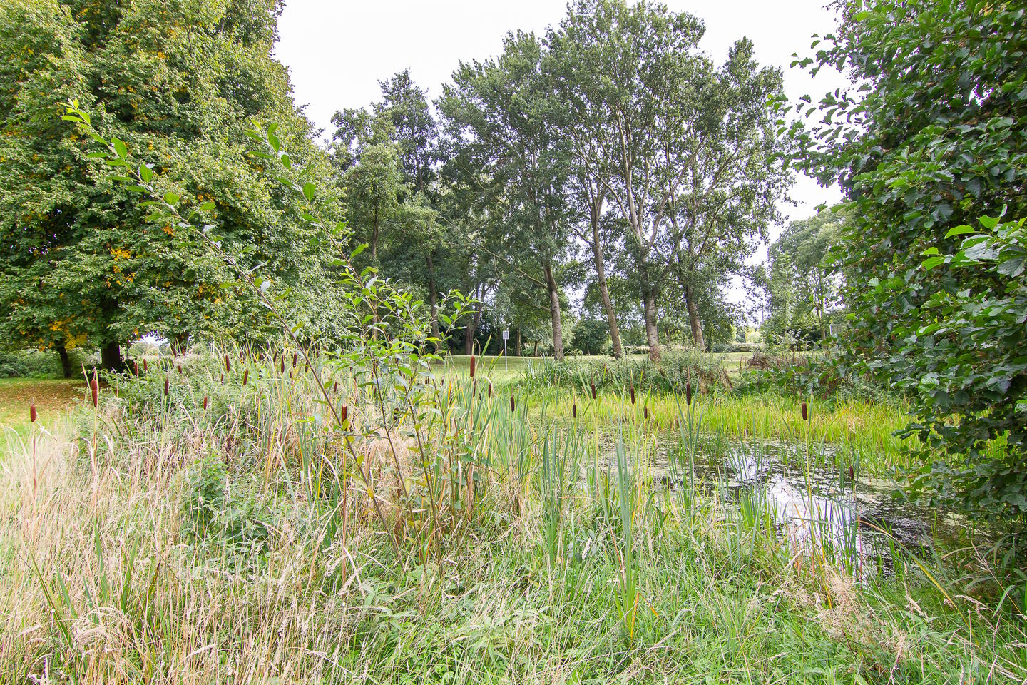 Foto 35 van Albert Verweylaan 52