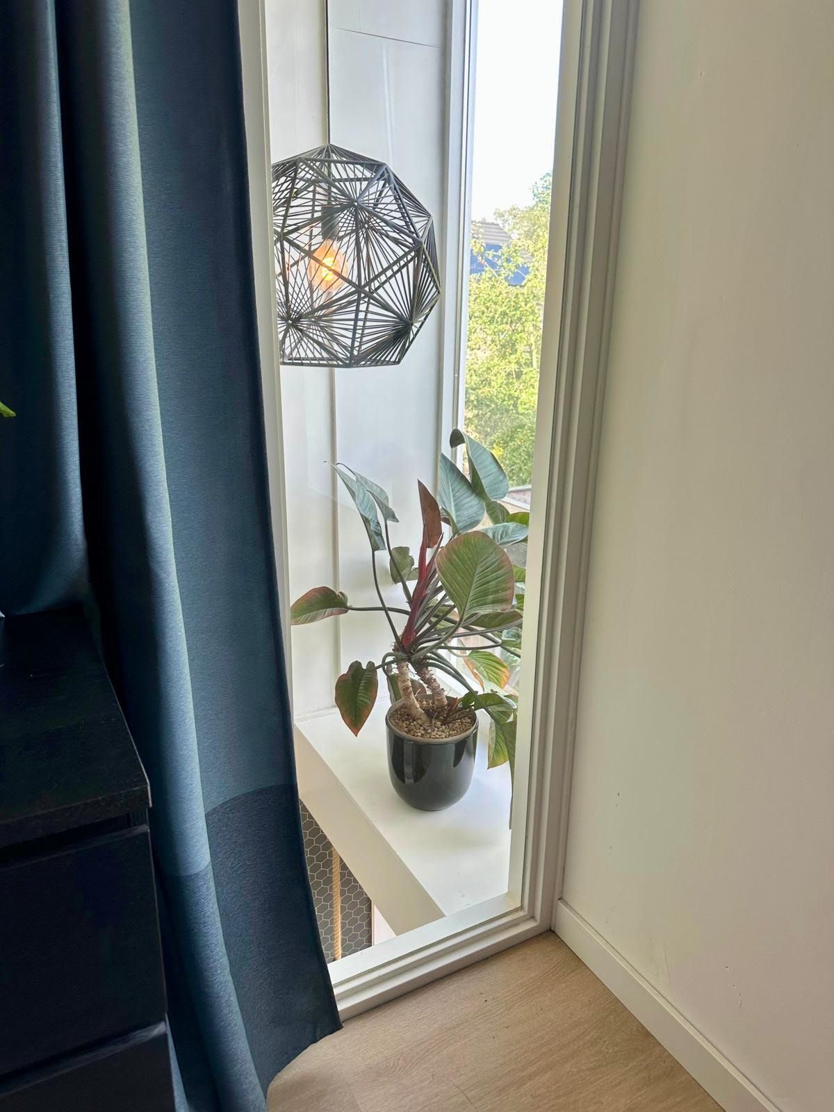 Foto 25 van 't Kempke 19