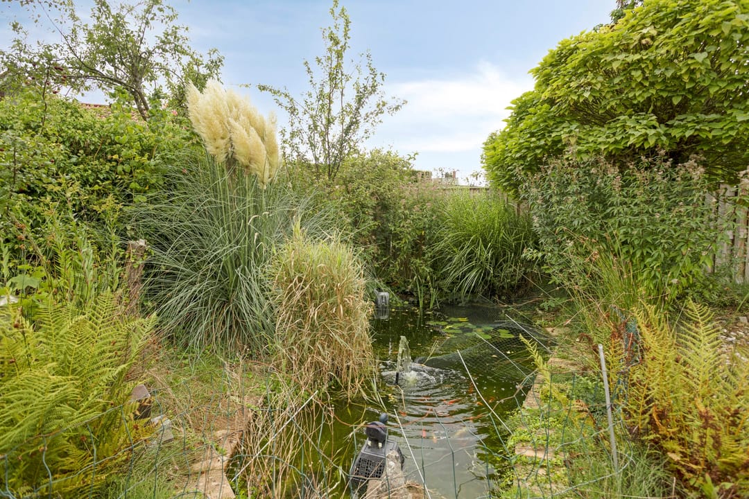 Foto 37 van de Luinink 15