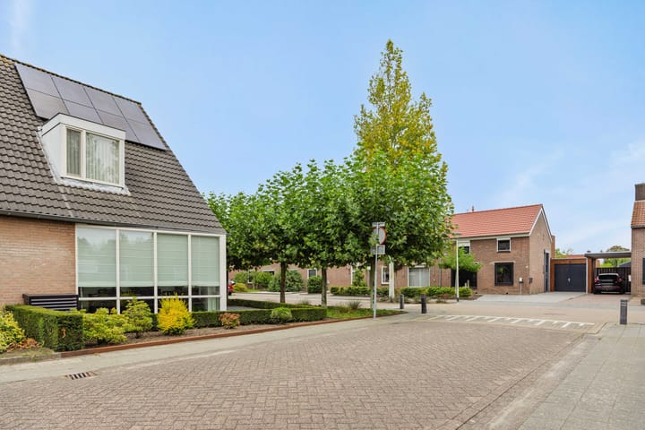 Foto 6 van Vendelier 2