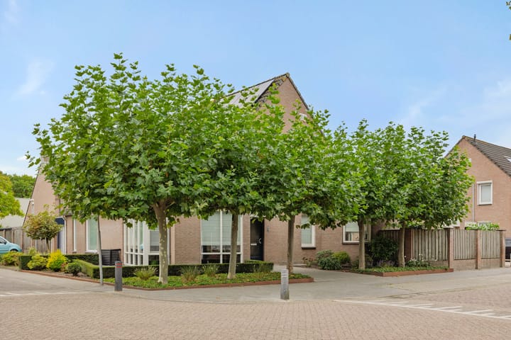 Foto 37 van Vendelier 2