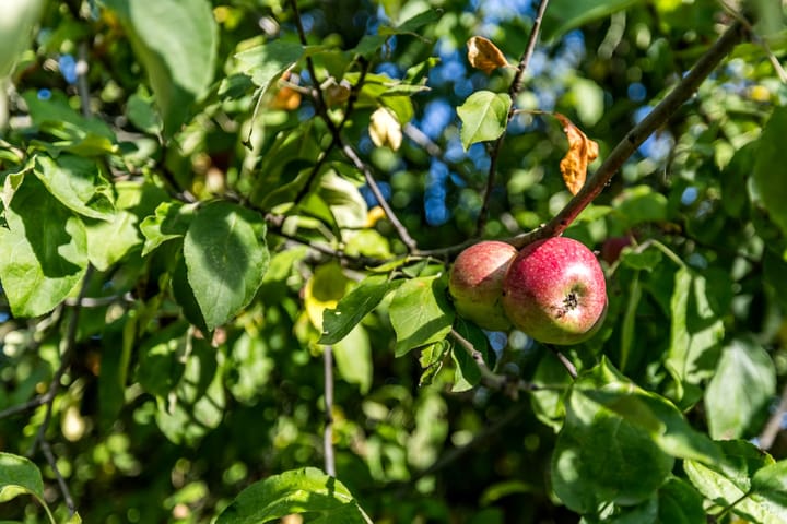 Foto 51 van Eiland 30