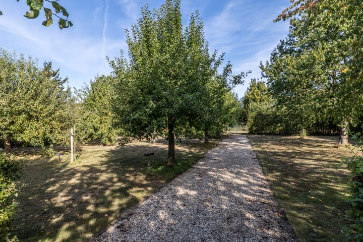 Foto 54 van Eiland 30