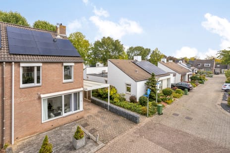 Vuurdoorn 24 tertiary image