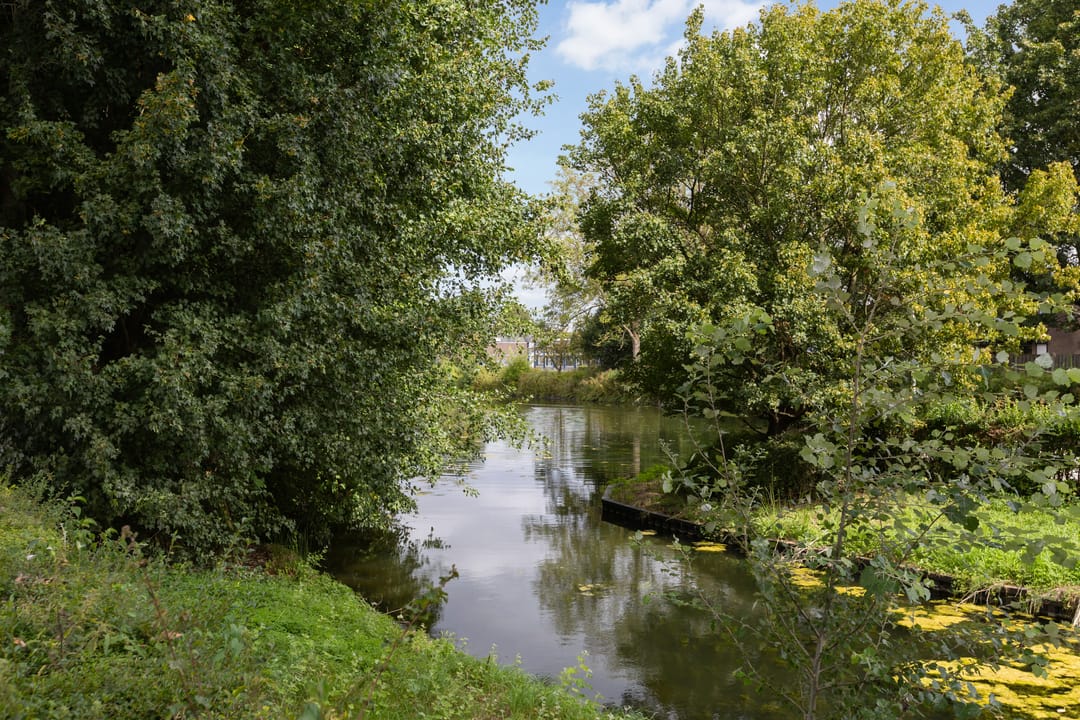 Foto 56 van Stadhouderslaan 34