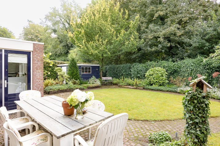 Foto 43 van Andeslaan 16