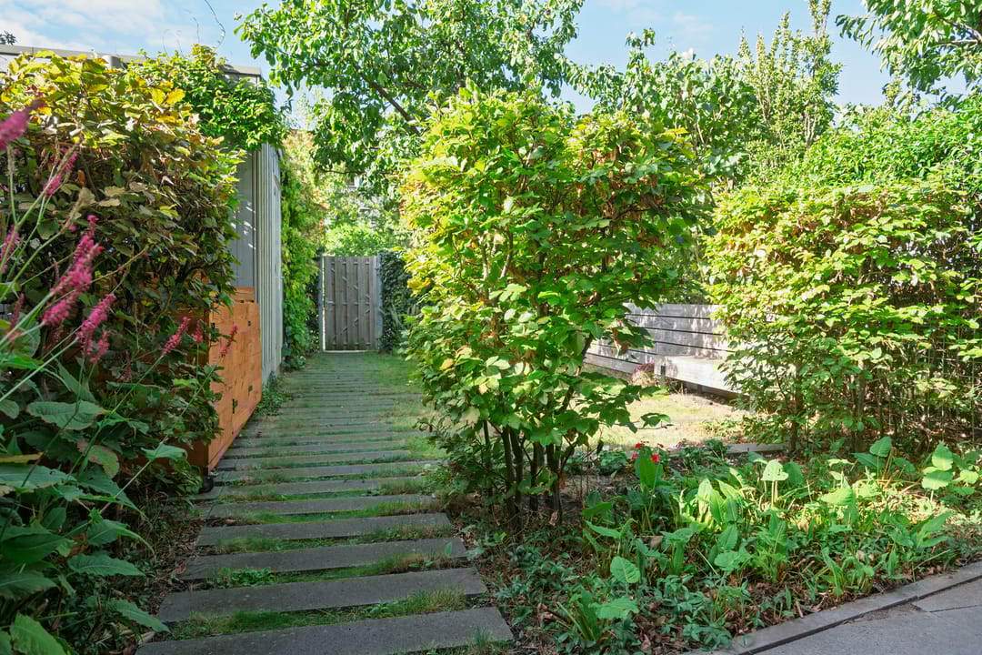 Foto 37 van Catharina van Zoelenstraat 26