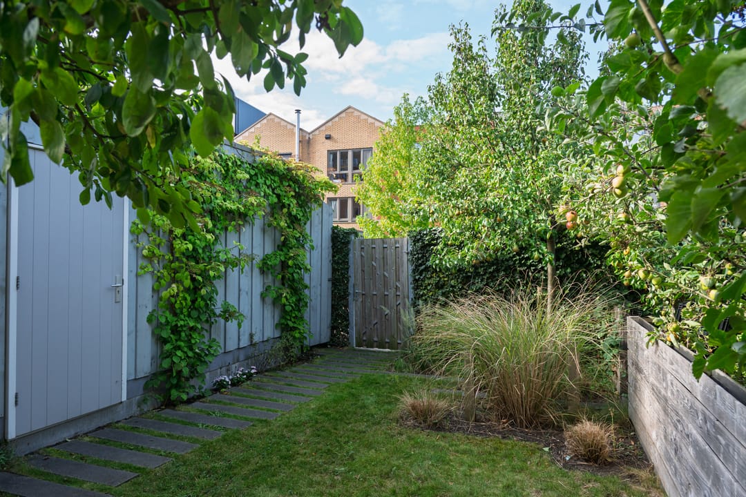 Foto 41 van Catharina van Zoelenstraat 26