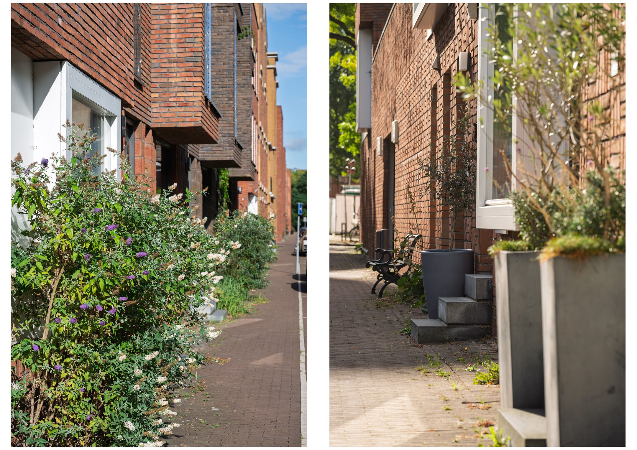 Foto 48 van Catharina van Zoelenstraat 26