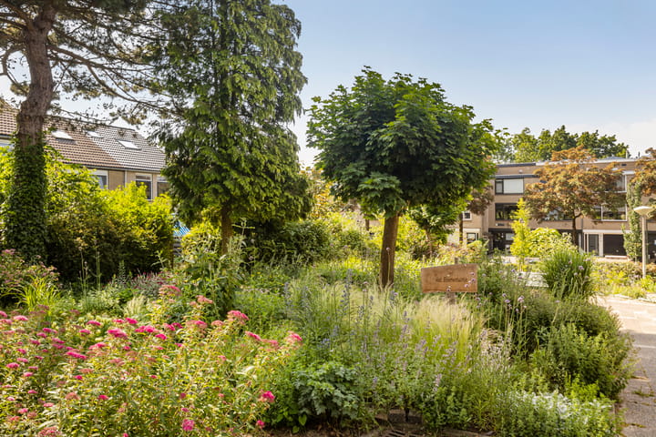 Foto 35 van De Kleine Kampen 174