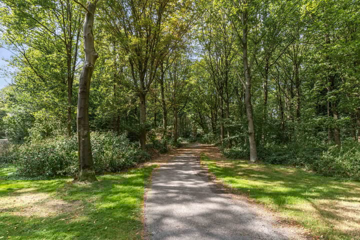 Foto 57 van Steggerdaweg 114