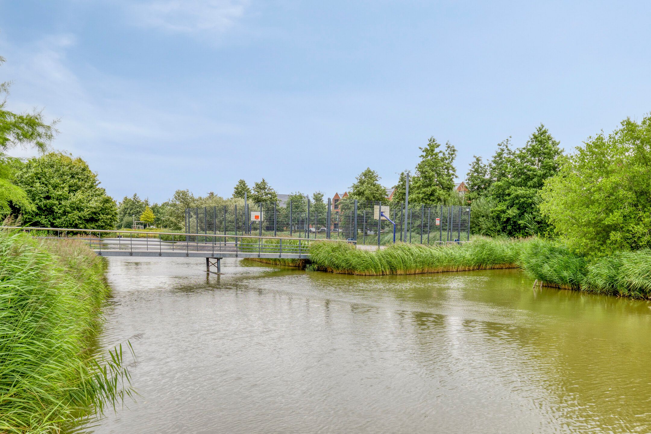 Photo 39 of Marjoleinlaan 14