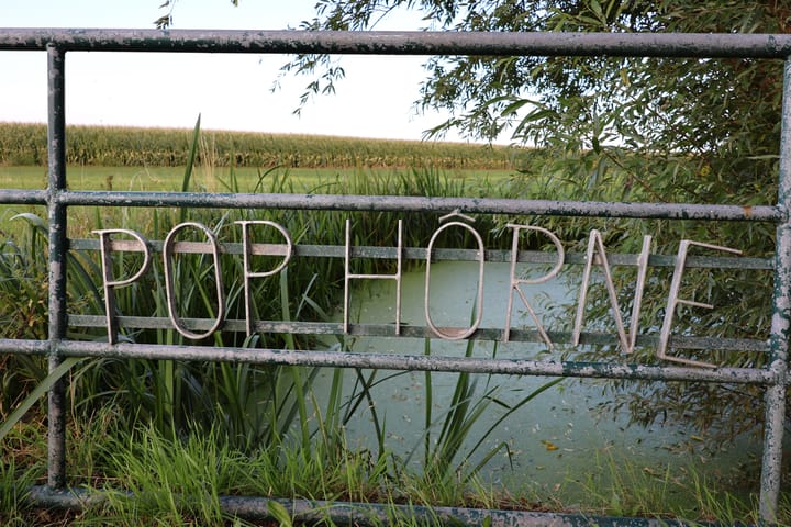 Foto 45 van Kleasterwei 1