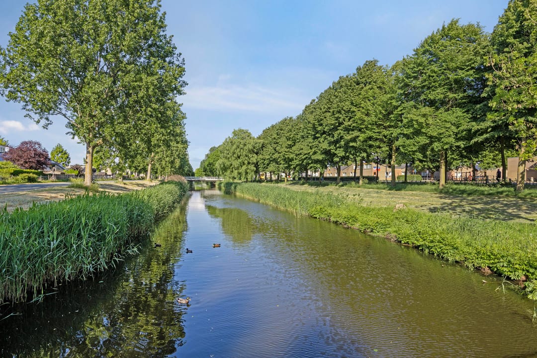 Foto 28 van Amaryllishof 9