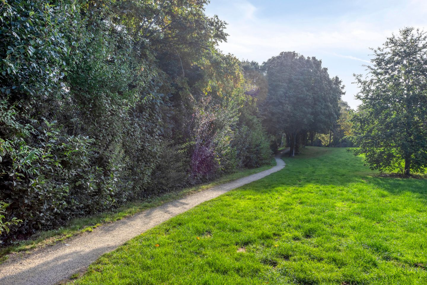 Foto 40 van Langstraat 80