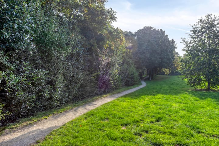 Photo 40 of Langstraat 80