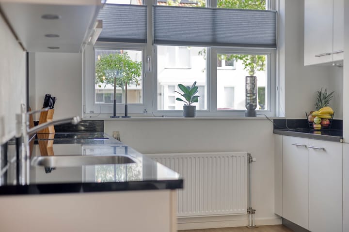 Foto 12 van Lover 145