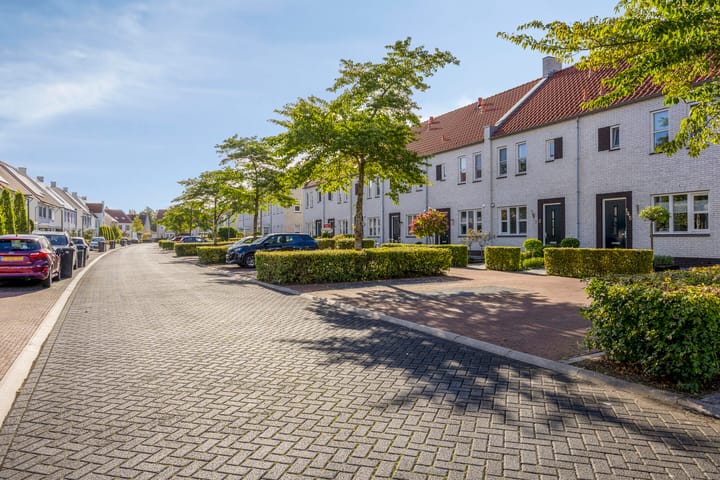 Foto 27 van Lover 145