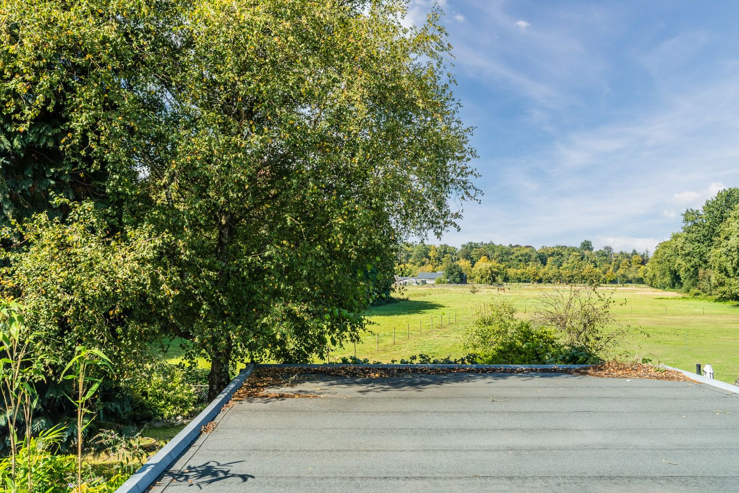 Foto 34 van Koninginnelaan 32-A