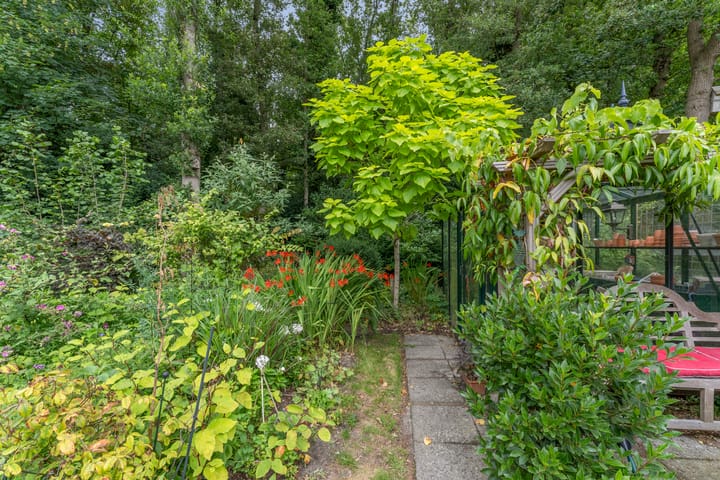 Foto 47 van Ruys de Perezlaan 10