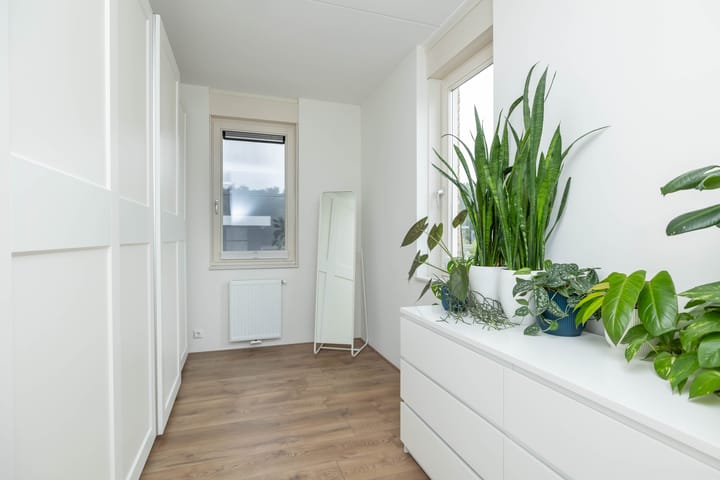 Foto 39 van Kroepnevel 25