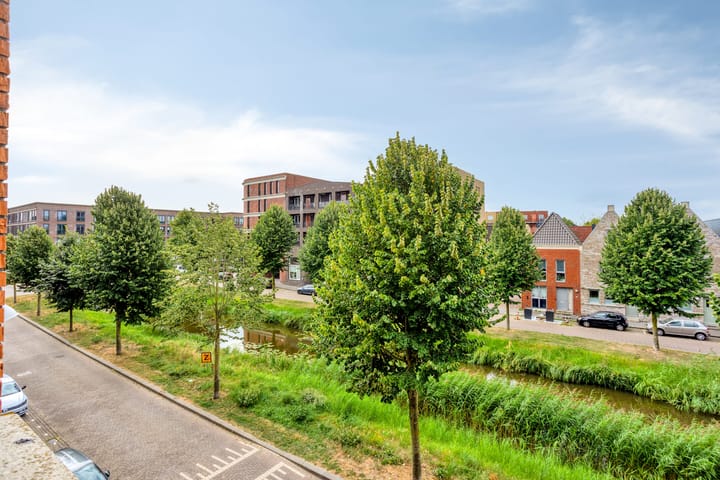 Foto 3 van Baak van Herkingen 106