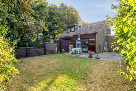 undefined main image