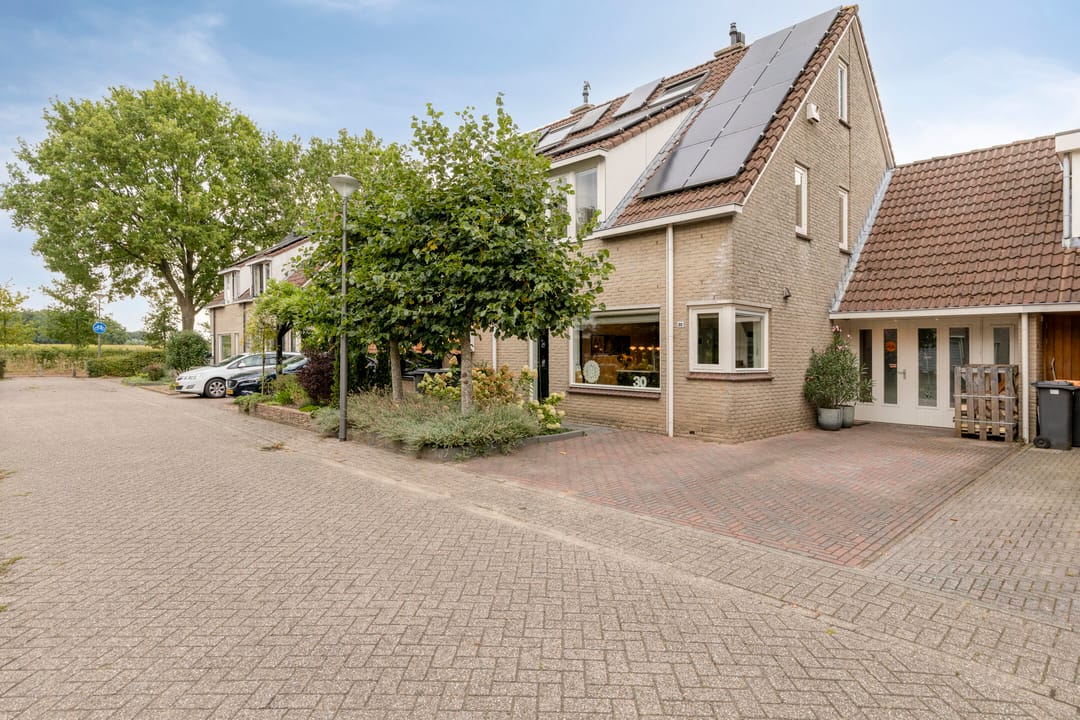 Foto 1 van Zevenblad 30