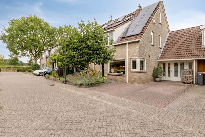 Zevenblad 30 main image