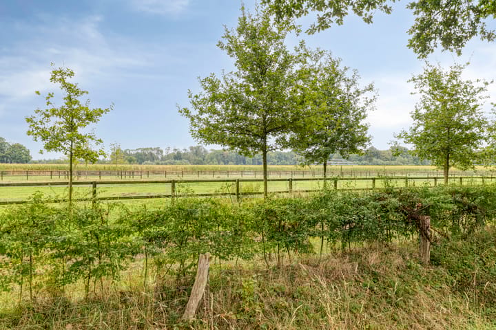 Photo 46 of Zevenblad 30