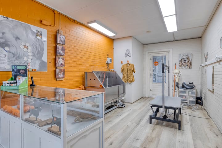 Photo 27 of Zevenblad 30