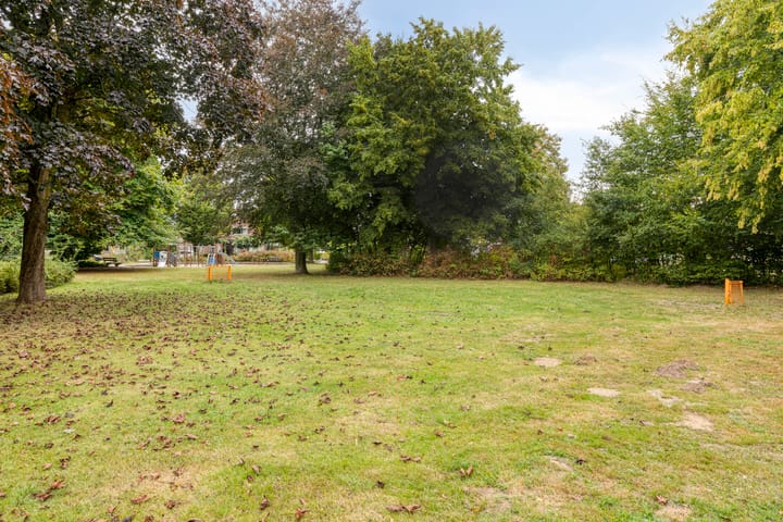 Photo 45 of Zevenblad 30