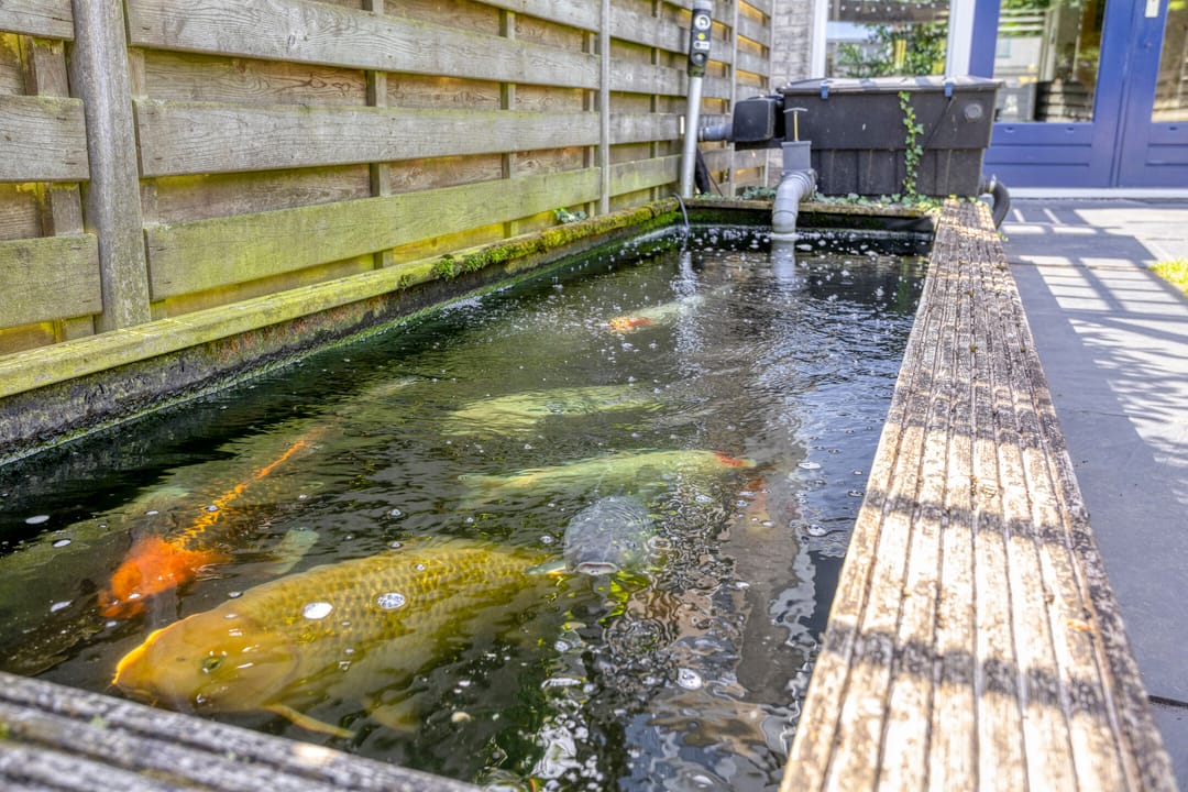 Foto 46 van Oostkreek 42