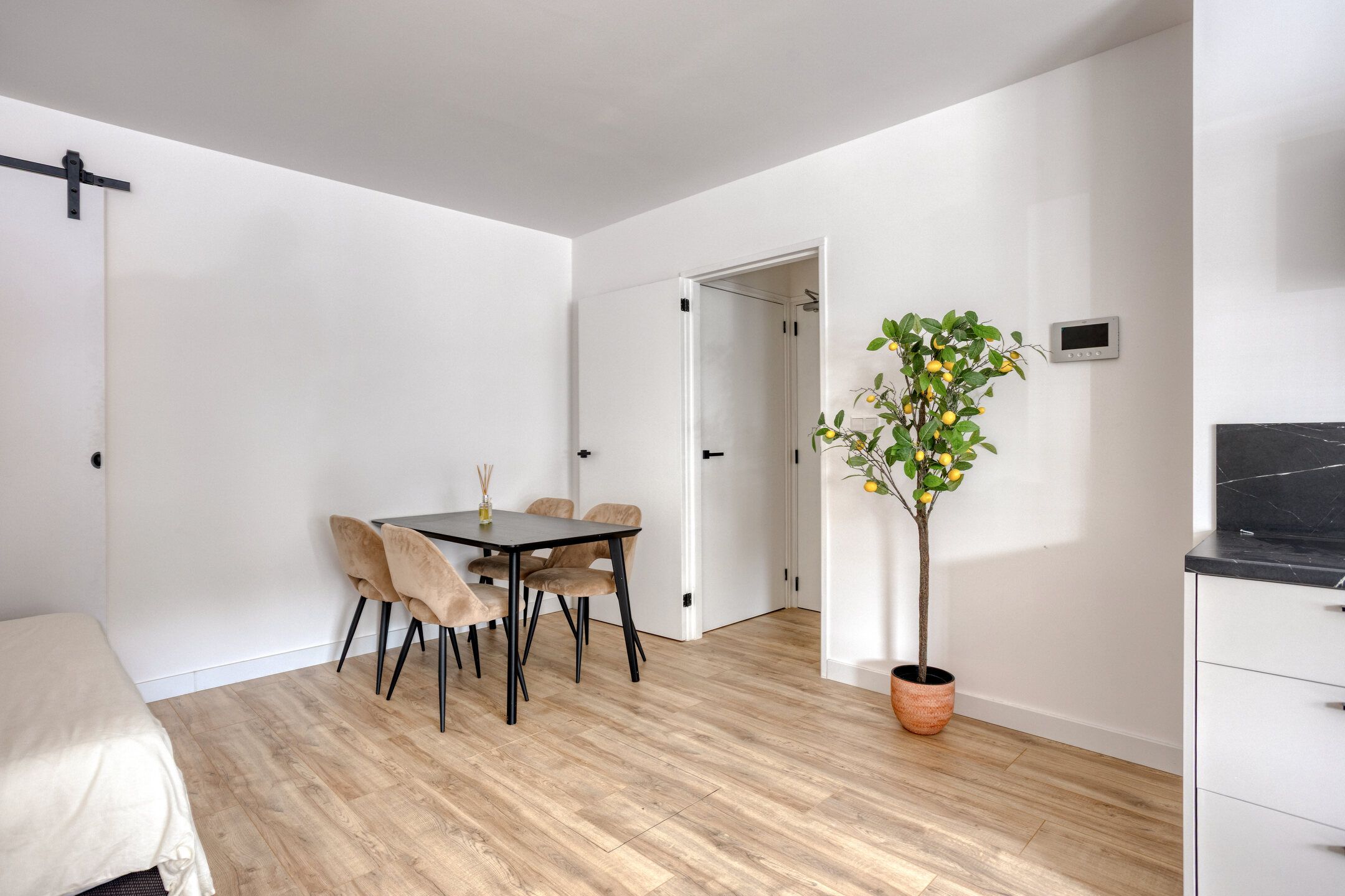 Photo 9 of Koninginnelaan 18-C