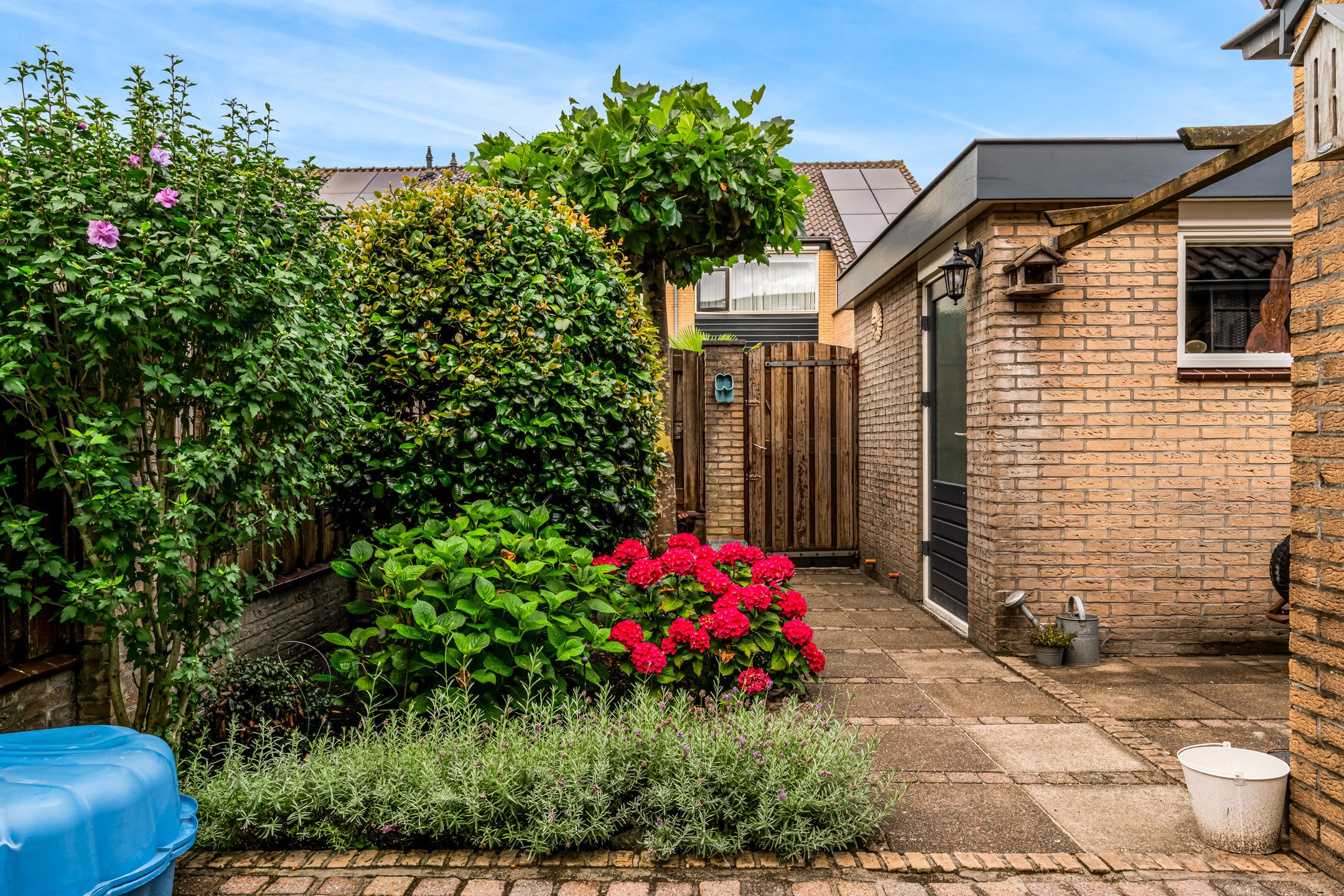 Foto 30 van de Kapberg 17