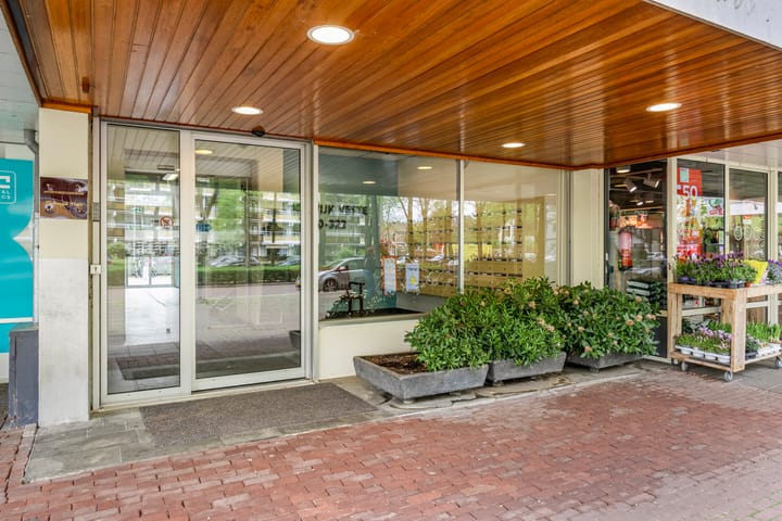 Foto 23 van Koning Lodewijklaan 248