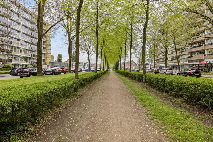 Foto 27 van Koning Lodewijklaan 248