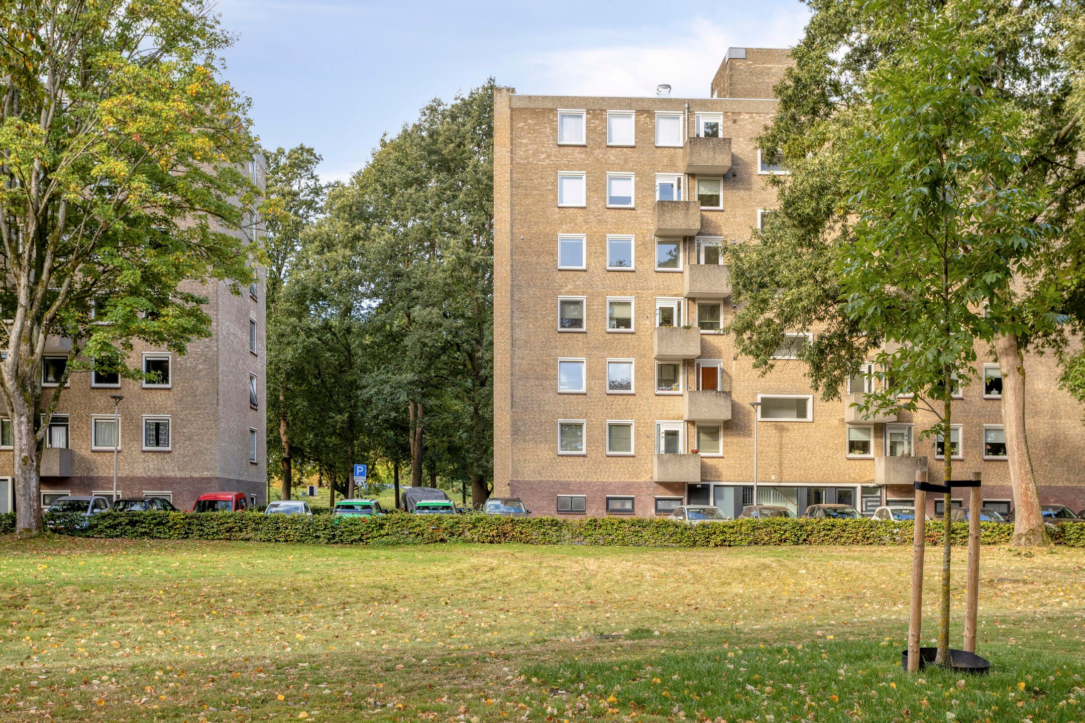 Photo 27 of Friezenlaan 170