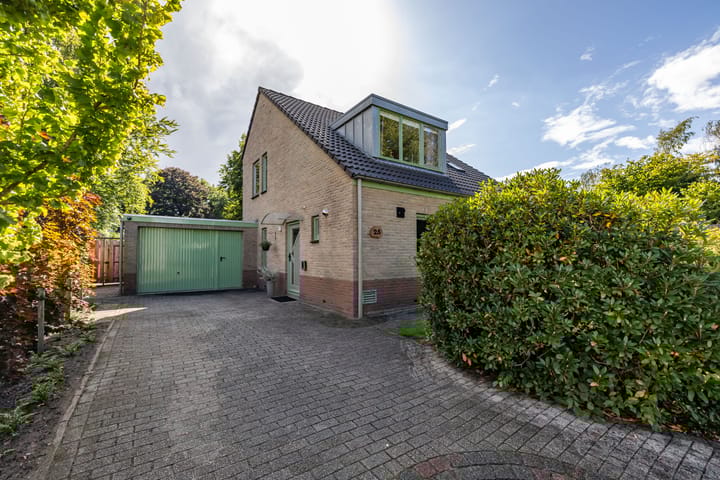 Foto 6 van Middendorp 25