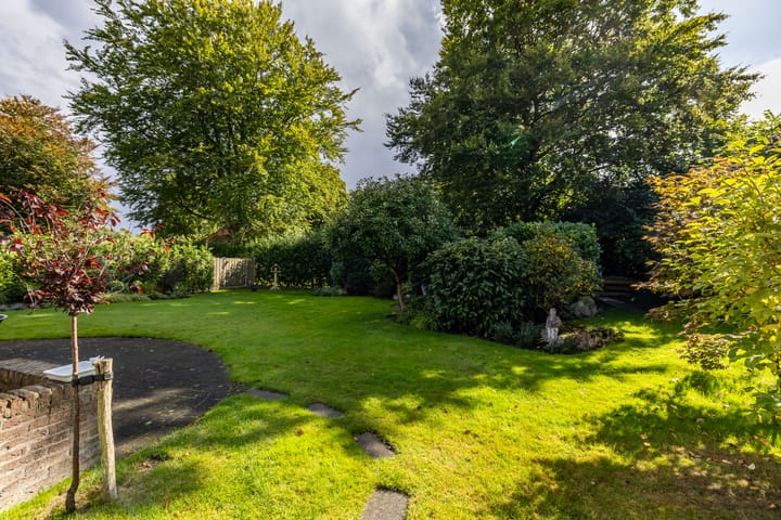 Foto 15 van Middendorp 25