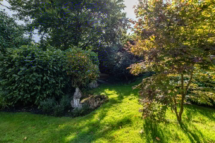 Foto 16 van Middendorp 25