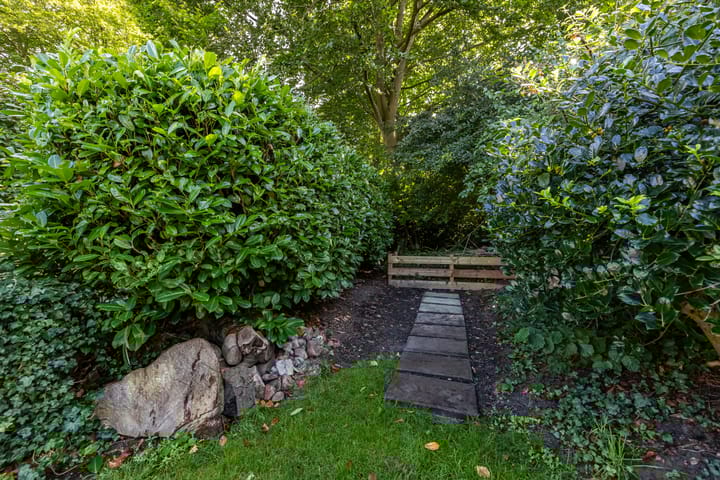 Foto 17 van Middendorp 25