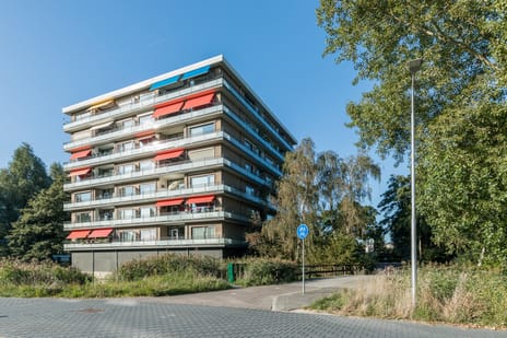 Rimini main image