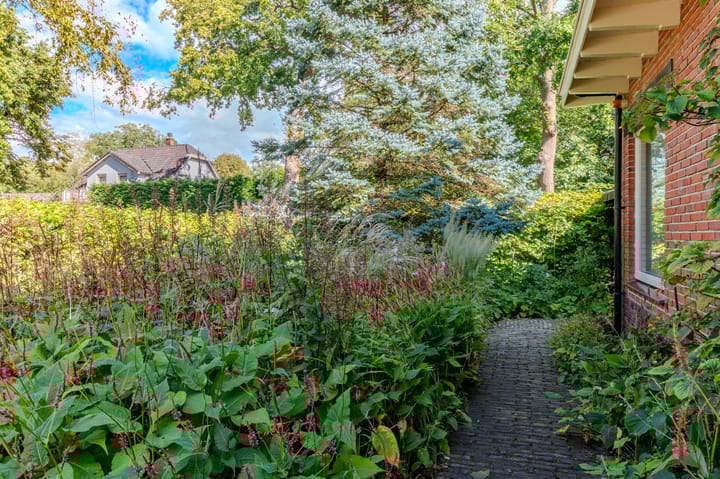 Photo 25 of Ruïnelaan 32