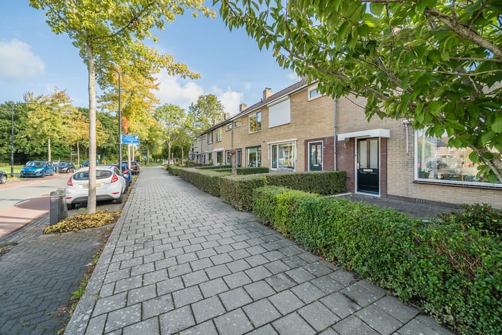 Foto 3 van Frans Halsstraat 38