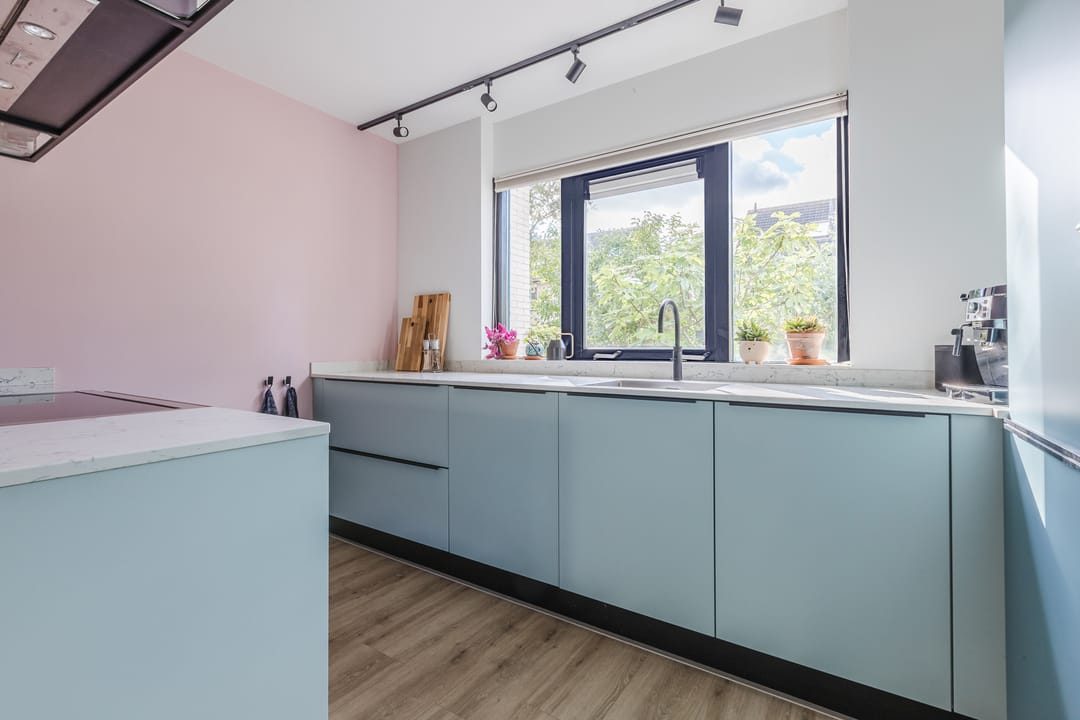 Photo 7 of Potvis 10