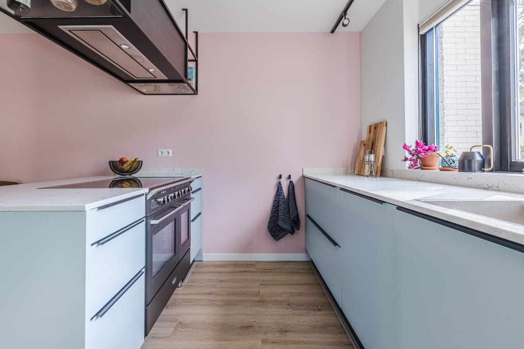 Photo 8 of Potvis 10